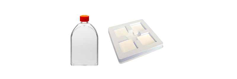 Cell Culture FSE