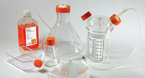 Cell Culture Expand